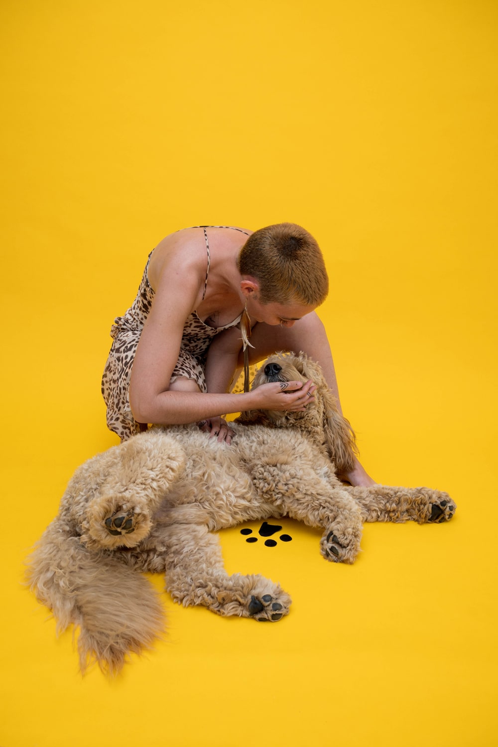 Mon chien Ziggy occupant le décor de séance photo et se faisant câliner.
